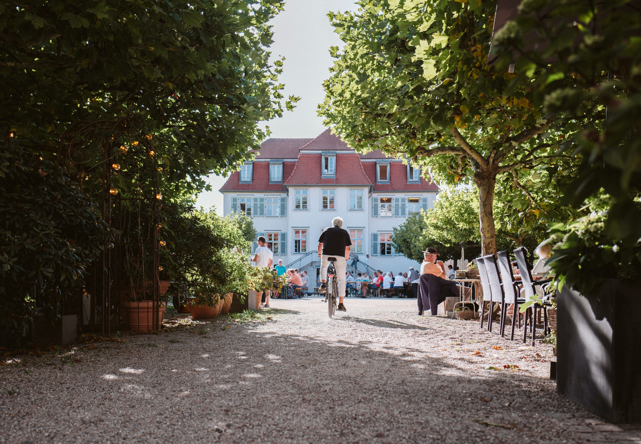 l’Oxalis Restaurant Darmstadt – moderne Küche, kreative Menüs und stilvolles Ambiente l’Oxalis Restaurant Darmstadt – moderne Küche, kreative Menüs und stilvolles Ambiente